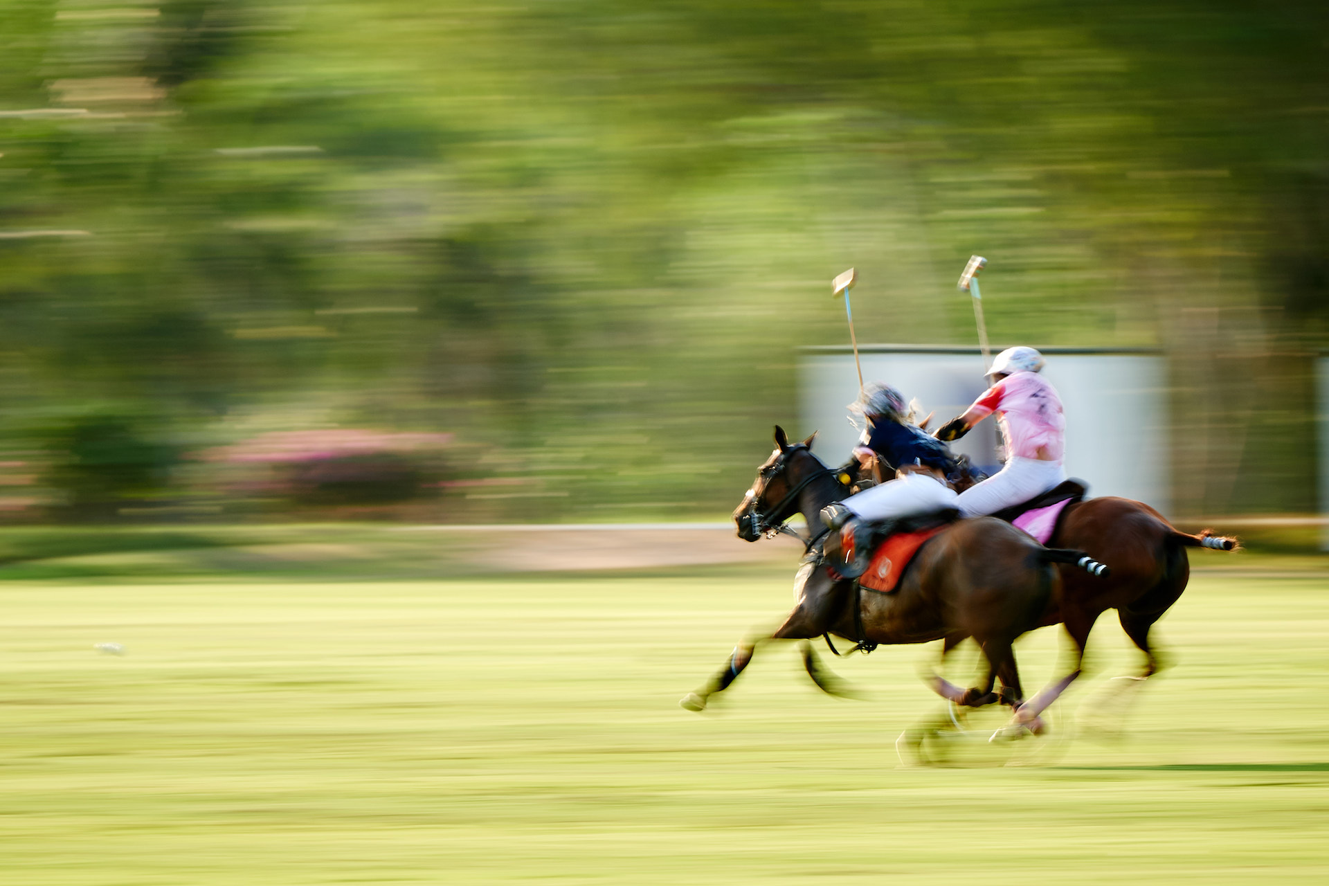 THAI-PINK-POLO-2019-FINALS_DJ_8580
